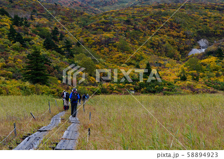 栗駒山の紅葉 58894923