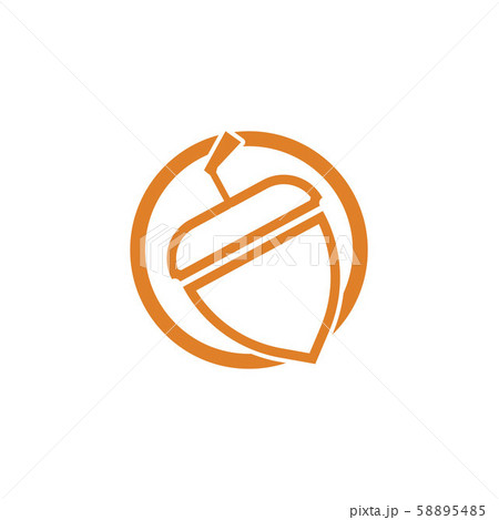 Acorn logo ilustration vector template Acorn logo ilustration vector template 58895485