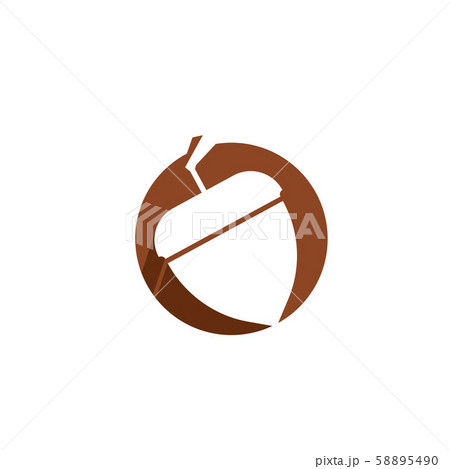 Acorn logo ilustration vector template Acorn logo ilustration vector template 58895490