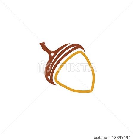 Acorn logo ilustration vector template Acorn logo ilustration vector template 58895494