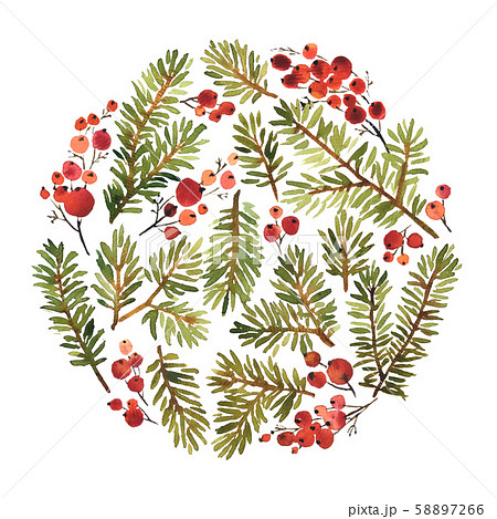 Watercolor circle composition of spruce and holly 58897266