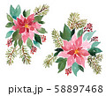 Loose Watercolor evergreen plants for Christmas 58897468