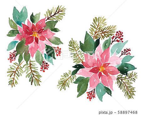 Loose Watercolor evergreen plants for Christmas Loose Watercolor evergreen plants for Christmas 58897468