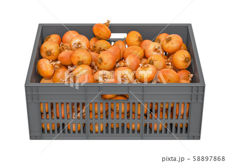 Onions in the plastic crate, 3D rendering Onions in the plastic crate, 3D rendering 58897868