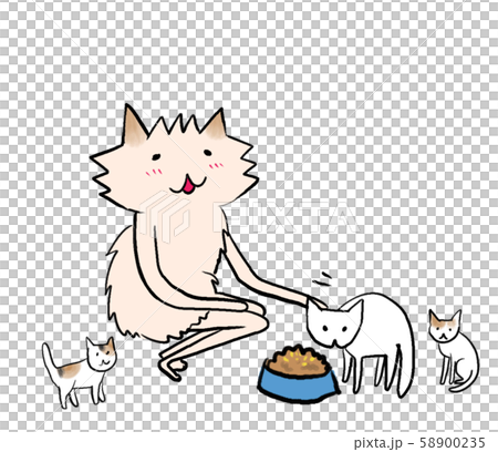 3匹の柄違いの猫たちにネコ餌を与える、ポメラニアンなイヌさん 3匹の柄違いの猫たちにネコ餌を与える、ポメラニアンなイヌさん 58900235