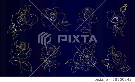 Wildflower Roses in gold in a vector style isolated. 58900245
