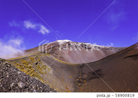 (静岡県)富士山・初冠雪 宝永火口の草紅葉 (静岡県)富士山・初冠雪 宝永火口の草紅葉 58900819