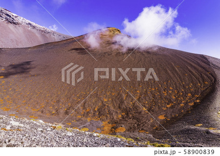 (静岡県)富士山・初冠雪 宝永山の草紅葉 (静岡県)富士山・初冠雪 宝永山の草紅葉 58900839