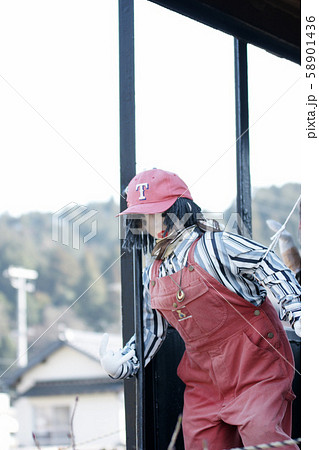 鳥取　四季の散歩　春　若桜沿線 58901436