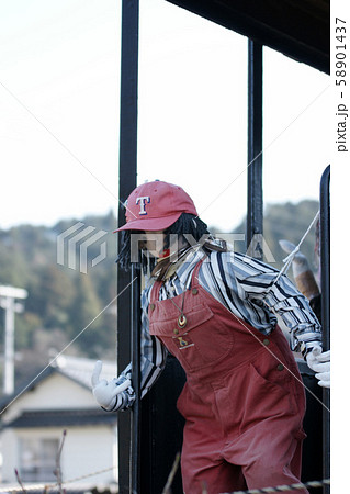 鳥取　四季の散歩　春　若桜沿線 58901437