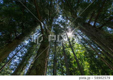 増田最奥の山道03 増田最奥の山道03 58902579