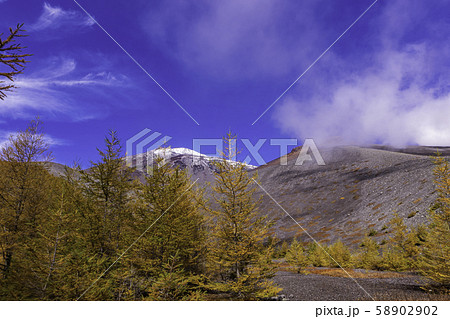 （静岡県）富士山・初冠雪　御殿庭の落葉松 58902902