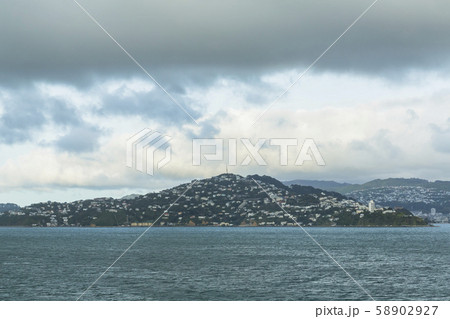 ニュージーランド　ウェリントン　ピクトン行きのフェリーから見えるマウント・ビクトリア 58902927