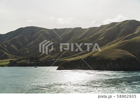 ニュージーランド　ピクトン行きのフェリーから見えるアラパワ島 58902935