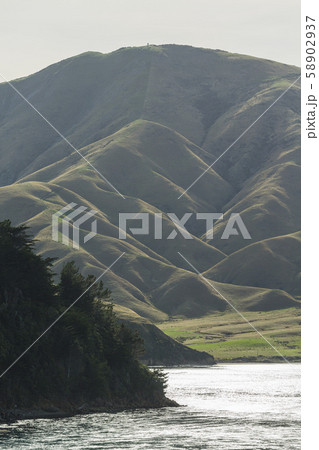 ニュージーランド　ピクトン行きのフェリーから見えるアラパワ島 58902937