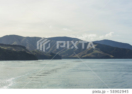 ニュージーランド　ピクトン行きのフェリーから見えるアラパワ島 58902945