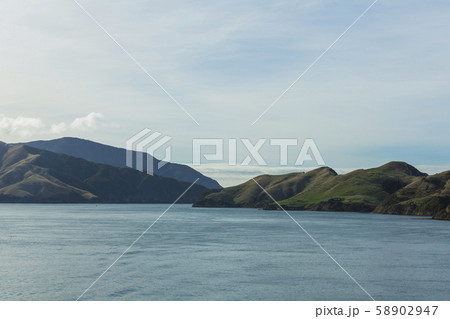 ニュージーランド　ピクトン行きのフェリーから見えるアラパワ島 58902947