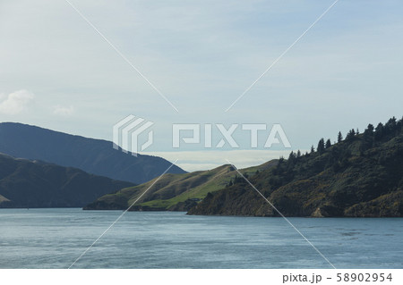 ニュージーランド　ピクトン行きのフェリーから見えるアラパワ島 58902954