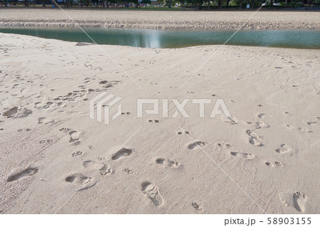 many footprints on sand many footprints on sand 58903155