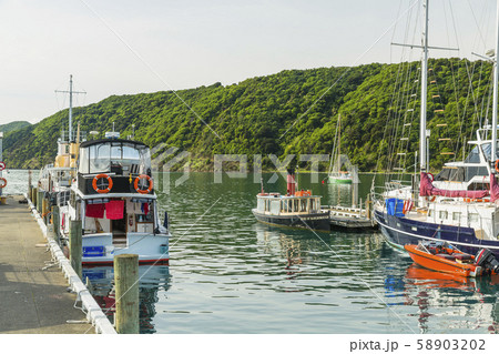 ニュージーランド　ピクトン　港の風景 58903202