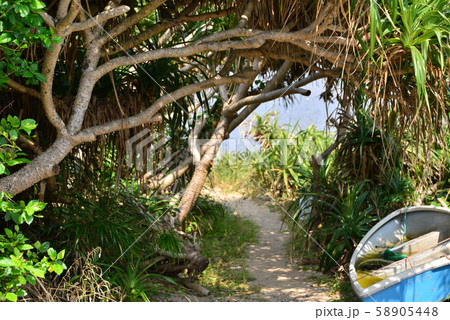 海への小道 海への小道 58905448