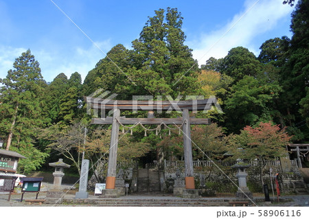 戸隠神社中社の鳥居と三本杉 58906116