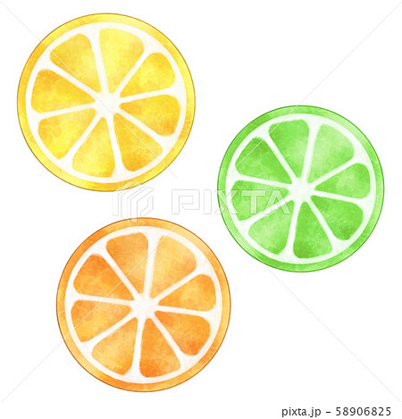 レモン オレンジ ライム 輪切り 水彩風イラスト素材のイラスト素材 5065