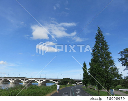 手賀沼自然ふれあい緑道 手賀沼自然ふれあい緑道 58906979