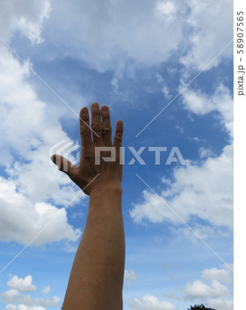 青空と手 58907565
