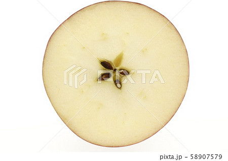 リンゴ　サン津軽　青森県産 58907579