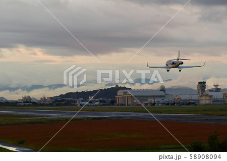 名古屋空港飛行機撮影2019 エアフロントオアシス周辺からの航空機撮影夕方から夜間 58908094