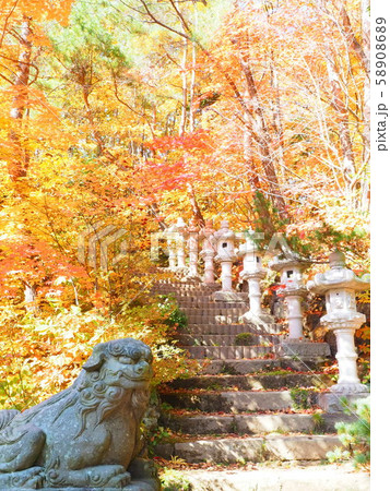 北海道の風景 秋の紅櫻公園 58908689