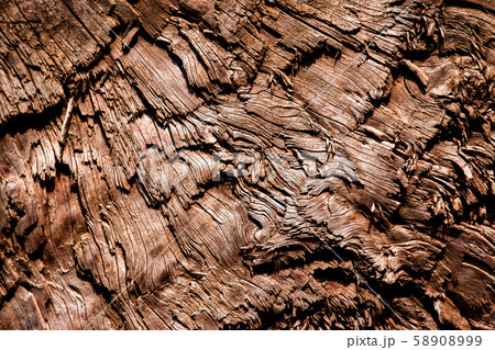 texture of dark brown color with torn wood 58908999