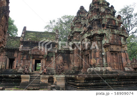 バンテアイスレイ バンテアイスレイ 58909074