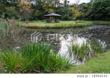巴ケ丘自然公園 58909234