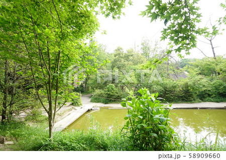 甲賀の里 忍術村 水蜘蛛池 甲賀の里 忍術村 水蜘蛛池 58909660