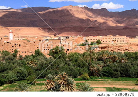 オアシス オアシス 58909879