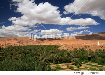 オアシス 58909890