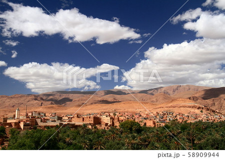 オアシス 58909944