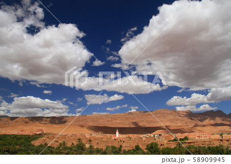 オアシス 58909945