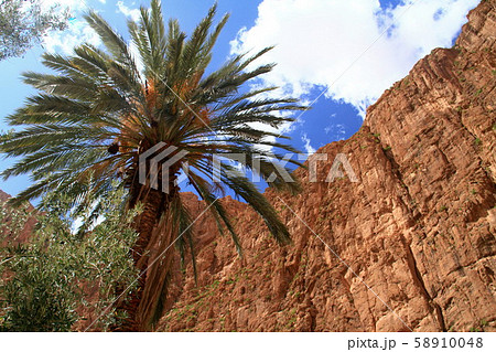 トドラ渓谷（モロッコ） 58910048