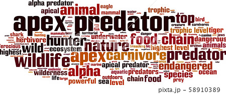 Apex Predator Word Cloudのイラスト素材 5103