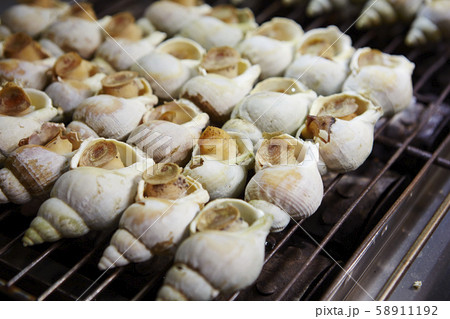 台湾 夜市 台湾 夜市 58911192