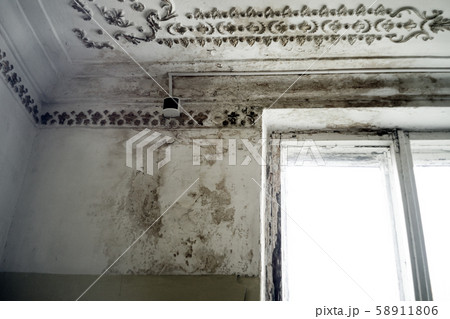Rain water leaks on the ceiling causing damage, 58911806