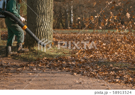 Male worker removes leaf blower lawn of autumn. Male worker removes leaf blower lawn of autumn. 58913524