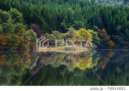 冬師湿原の秋　秋田県 58914081