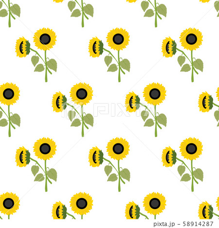 Sunflower flower seamless pattern Sunflower flower seamless pattern 58914287