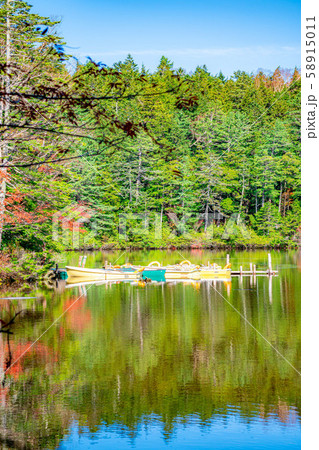 白駒の池 秋 船着き場 【長野県】 白駒の池 秋 船着き場 【長野県】 58915011
