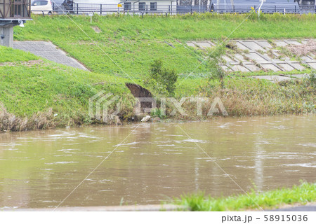 吉田川　堤防　浸食　洪水　崩壊　大雨 58915036