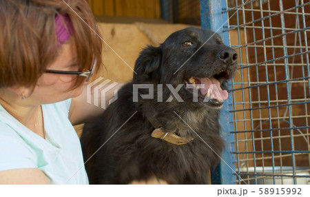 Volunteer in the nursery for dogs 58915992